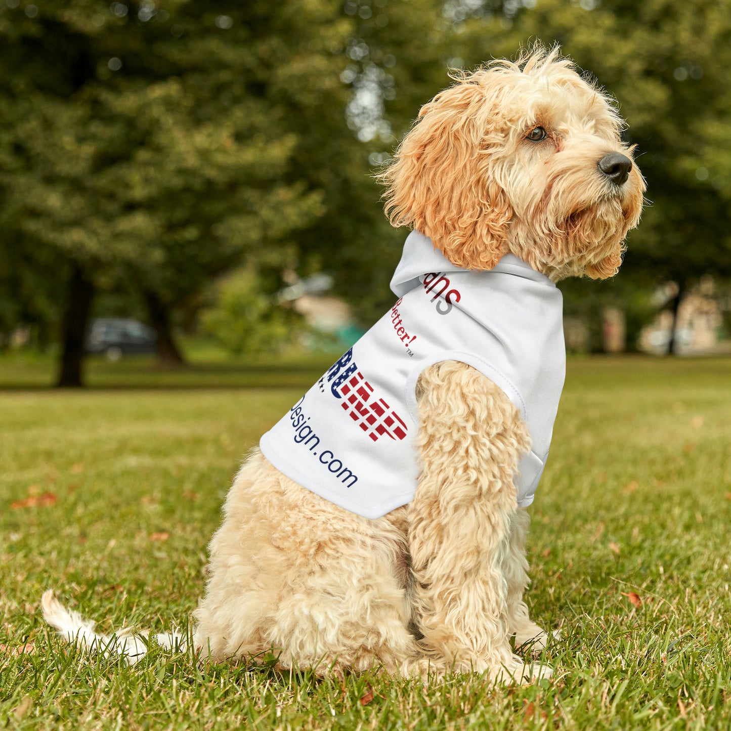 We Are Americans Pet Hoodie